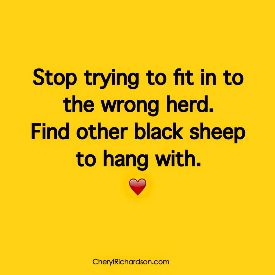 10882266_10153243248434316_1748558974168298476_n.