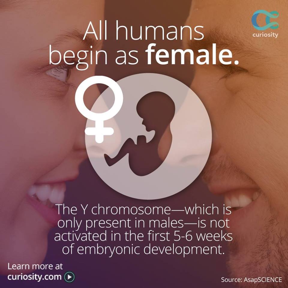 10915174_1007263385961339_5358196691363014259_n.