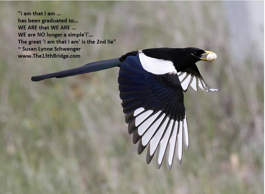 10922435_823724824352235_7261099941431232403_n.