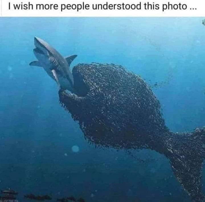 1096_n.?_nc_cat=102&ccb=1-7&_nc_sid=8bfeb9&_nc_ohc=U0vF2d13kx4AX9oNlhr&_nc_ht=scontent-yyz1-1.