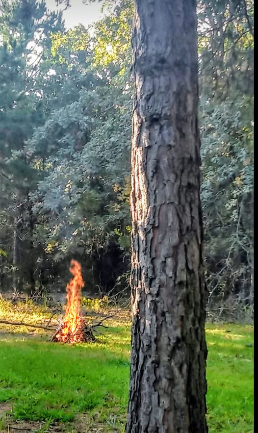 109883398682_o.?_nc_cat=108&_nc_sid=e3f864&_nc_ohc=Kz92rBKSelIAX_Bjufr&_nc_ht=scontent-yyz1-1.