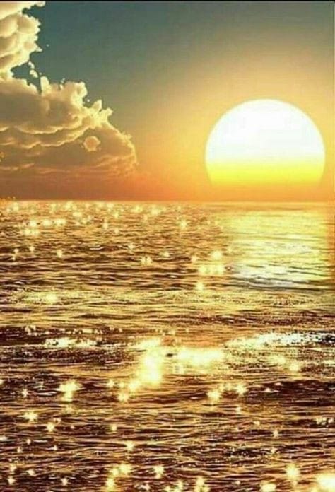 10aug2021sunriseJoeyCase.