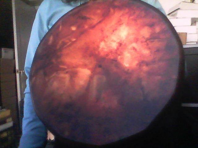 11024625_10152568567132581_6860187994141158441_n[1].