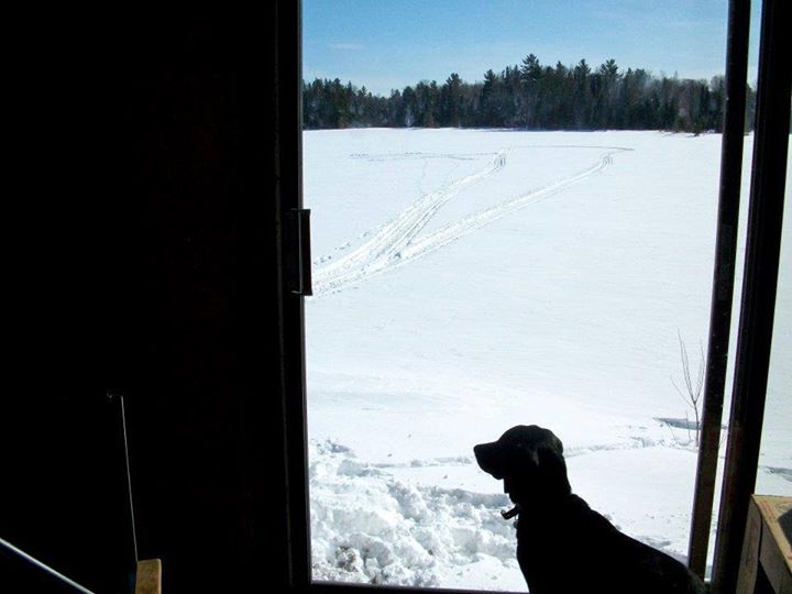 11173369_10152676734382581_629950742584475784_n.