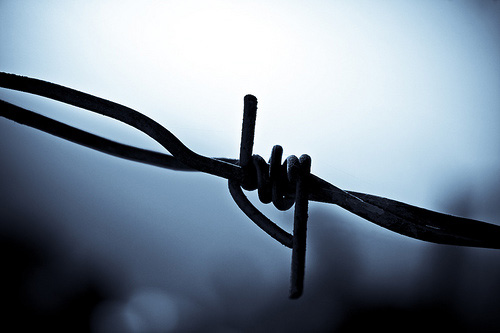 12-lies-people-tell.