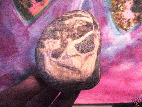 1377189_10151644224527581_202719723_n.