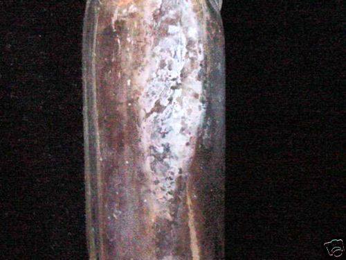 1378389_10151644228212581_347638331_n.