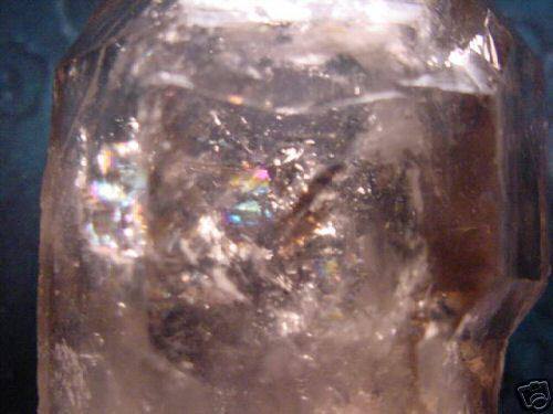 1380690_10151644221347581_765414652_n.