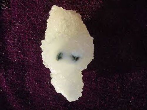 1382285_10151644182267581_744757108_n.