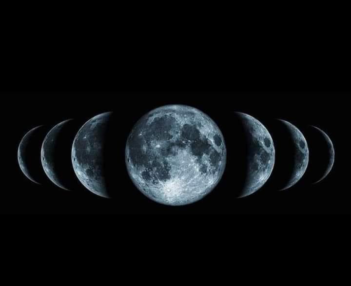 1419_n.?_nc_cat=103&ccb=1-7&_nc_sid=730e14&_nc_ohc=r3fVo8R8AgYAX9LbGUH&_nc_ht=scontent-yyz1-1.