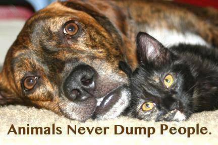 1456617_565917003486308_107261878_n.