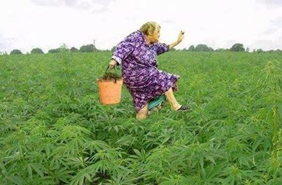 1502563_997559313592515_5599846319275374492_n.