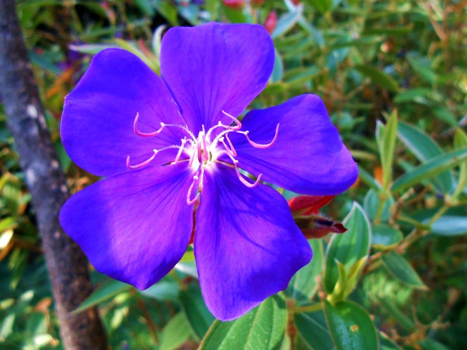 1511340_948626948498371_1830853690413158696_n.