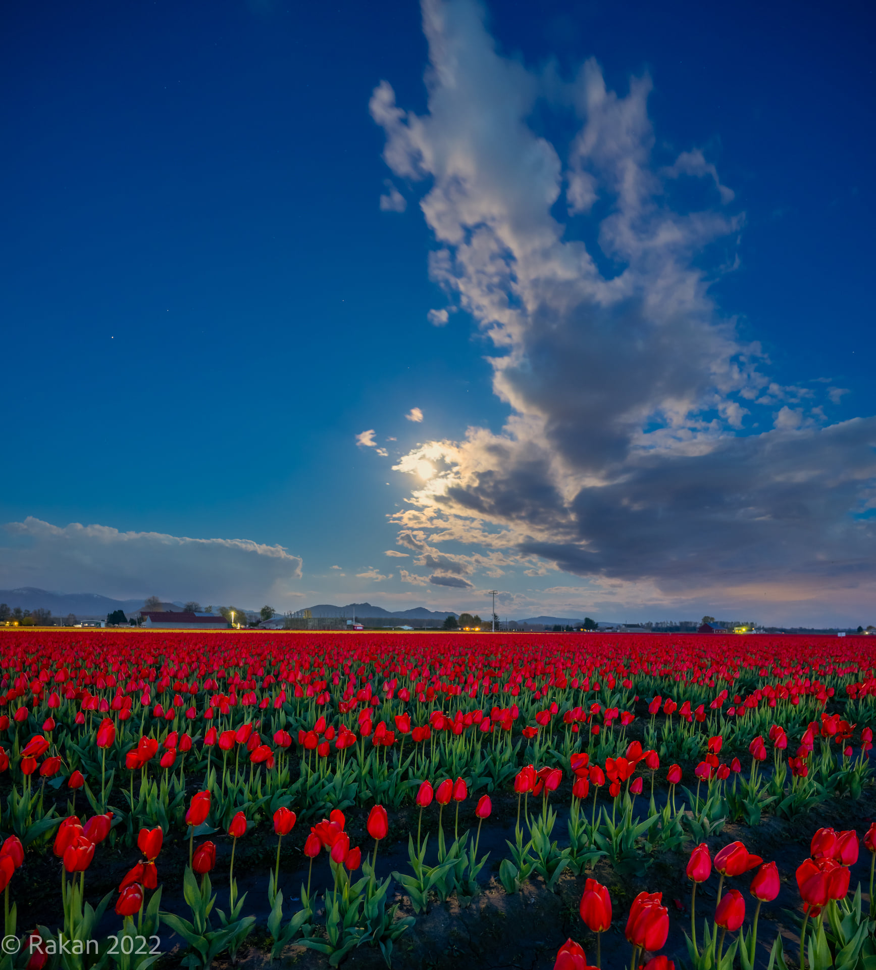 1547_n.?_nc_cat=100&ccb=1-5&_nc_sid=730e14&_nc_ohc=reMlqULwQCQAX_XrTWt&_nc_ht=scontent-yyz1-1.