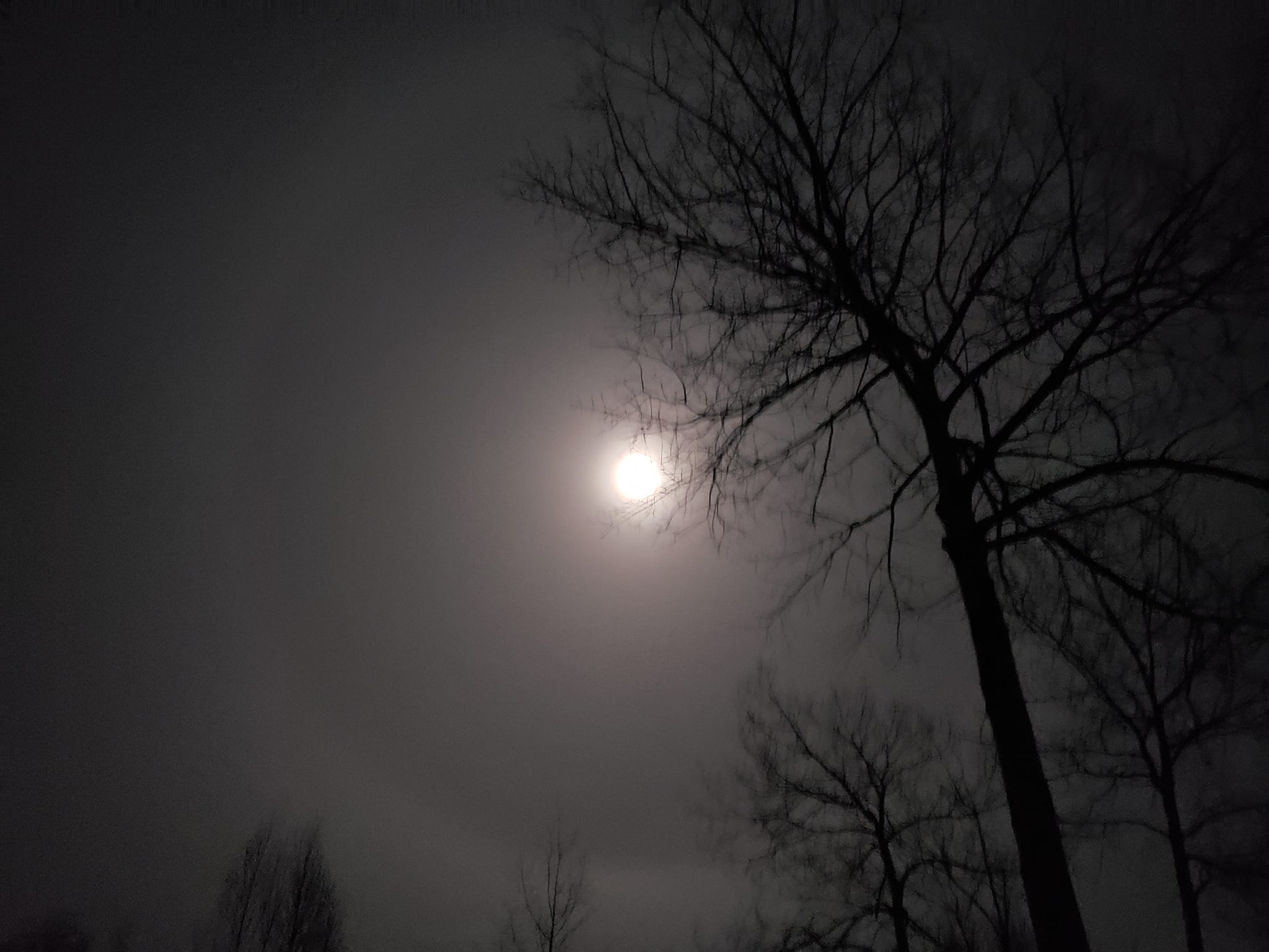 159_n.?_nc_cat=108&ccb=1-5&_nc_sid=8bfeb9&_nc_ohc=oemRYDpH0eUAX-fgzoe&_nc_ht=scontent.fykz2-1.