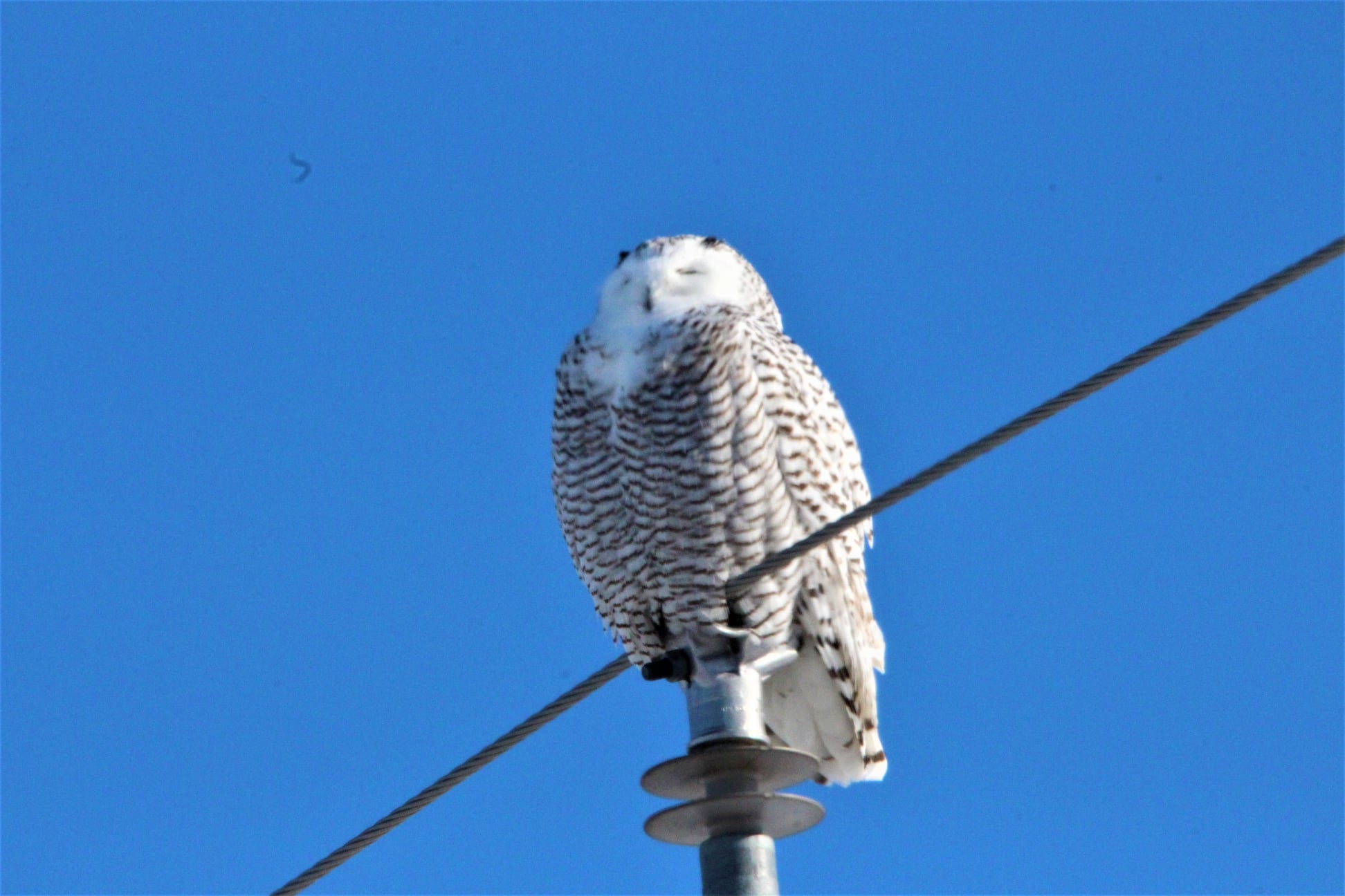 15jan2022mikewhelan.