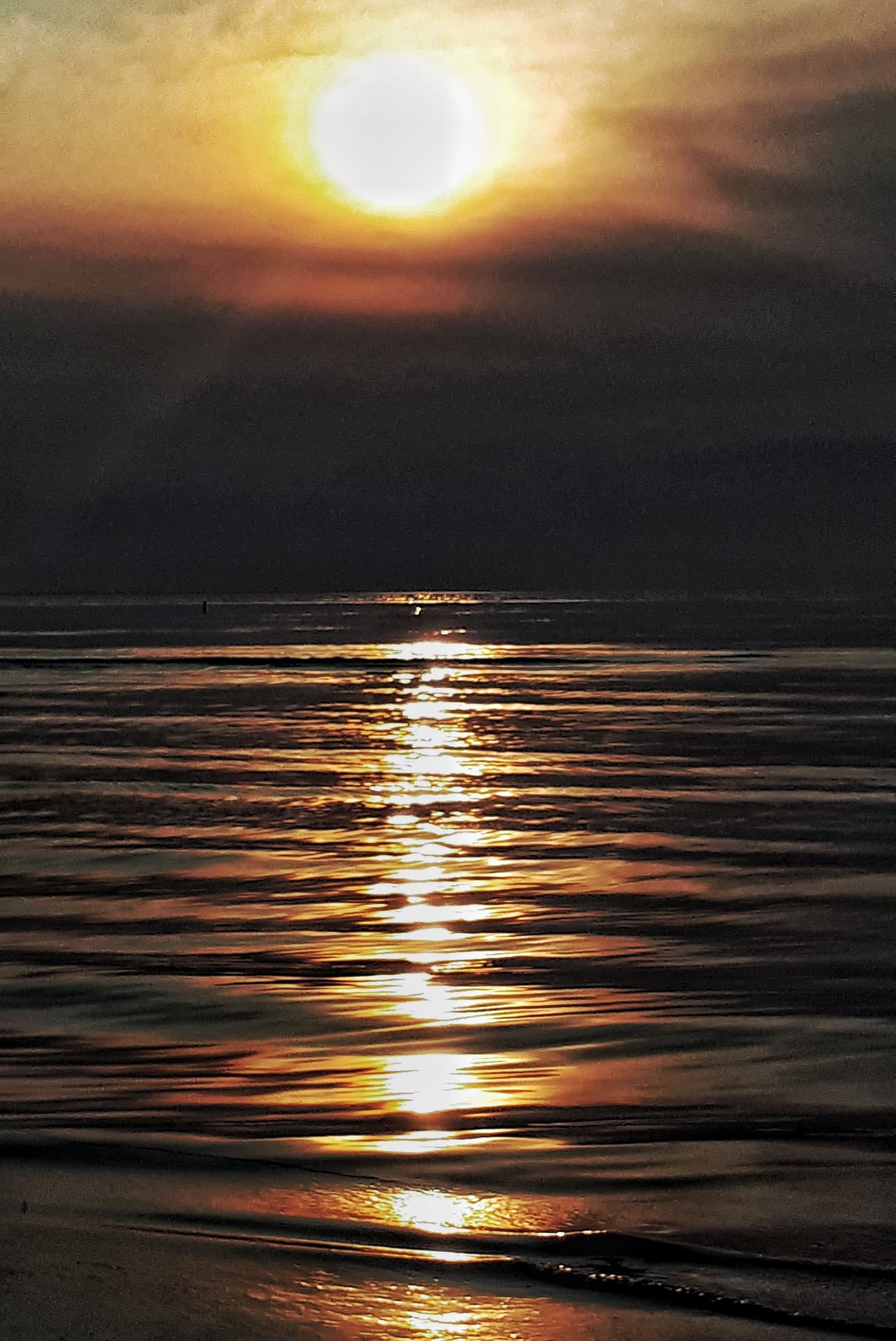 15JULY2021RickPassafiumesunrise.