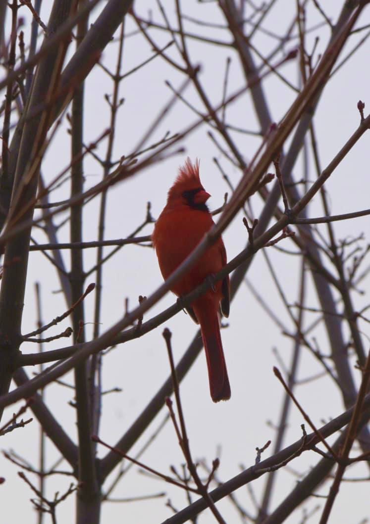 1638_n.?_nc_cat=106&ccb=1-5&_nc_sid=5cd70e&_nc_ohc=gKQLMVyWU_AAX_c3QLB&_nc_ht=scontent-yyz1-1.