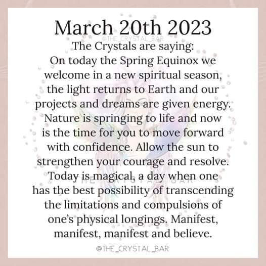 1641_n.?_nc_cat=109&ccb=1-7&_nc_sid=730e14&_nc_ohc=nwYsPnVR-LoAX_8JkW5&_nc_ht=scontent-yyz1-1.