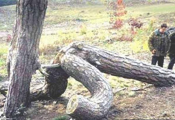 1661198_10201930877246082_270250994_n.