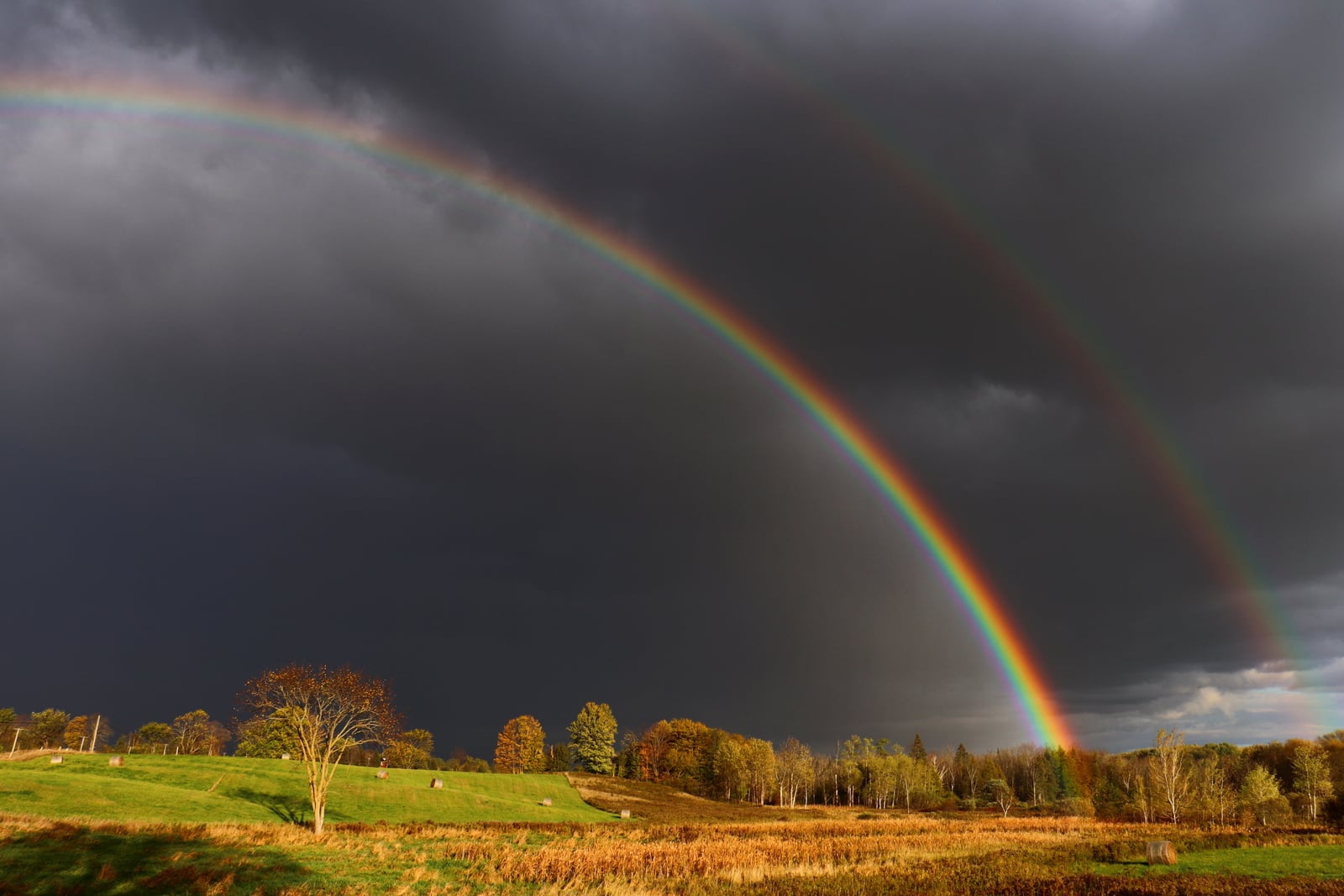 16oct2021rainbowJamiLM.