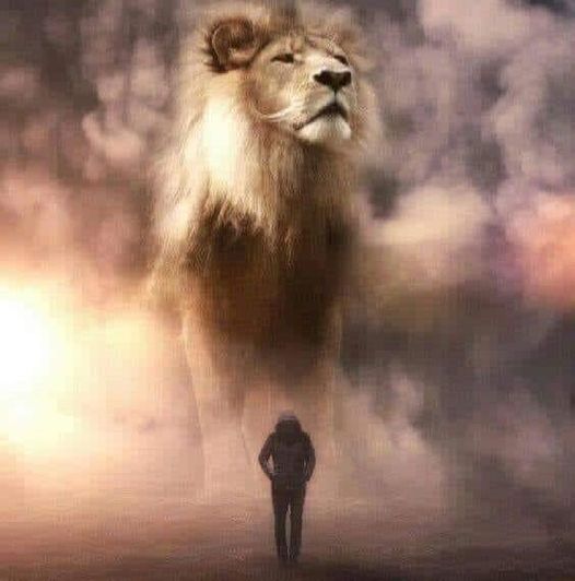 173_n.?_nc_cat=104&ccb=1-5&_nc_sid=8bfeb9&_nc_ohc=Y-LT6KZTCQ0AX_wYlDz&_nc_ht=scontent.fykz2-1.