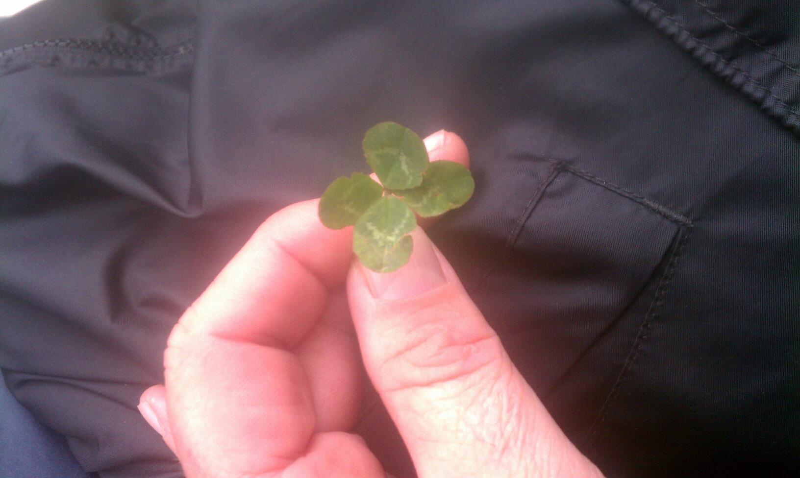 178040_10150978636609095_1908124581_o.