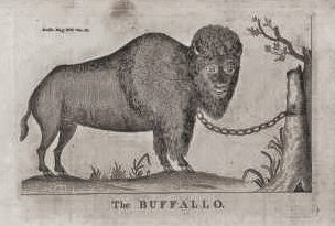 1792+North+America+The+Buffallo.+Massachusetts+Magazine,.
