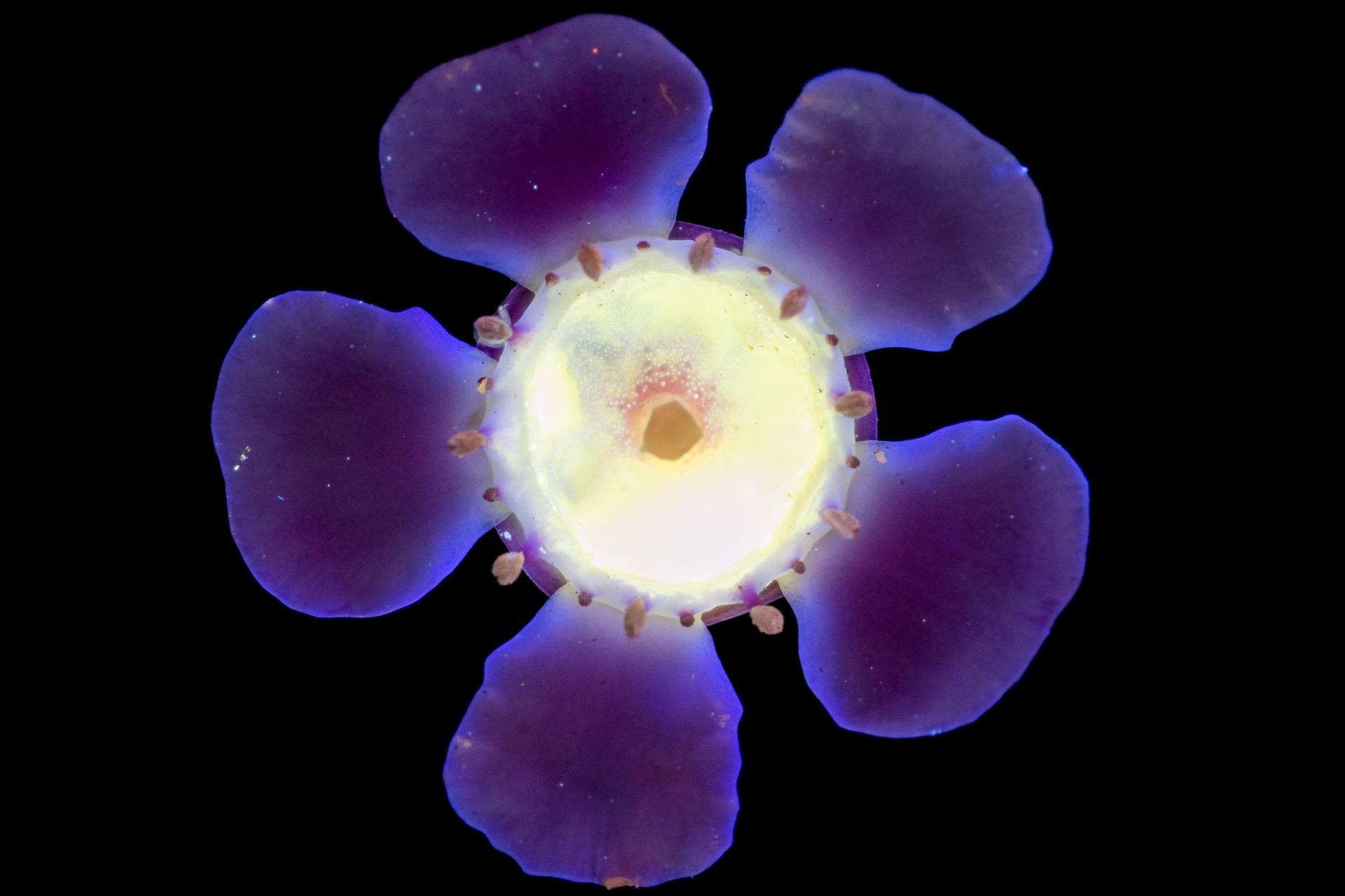 17990508_1579407992098717_8669466227344304217_o.