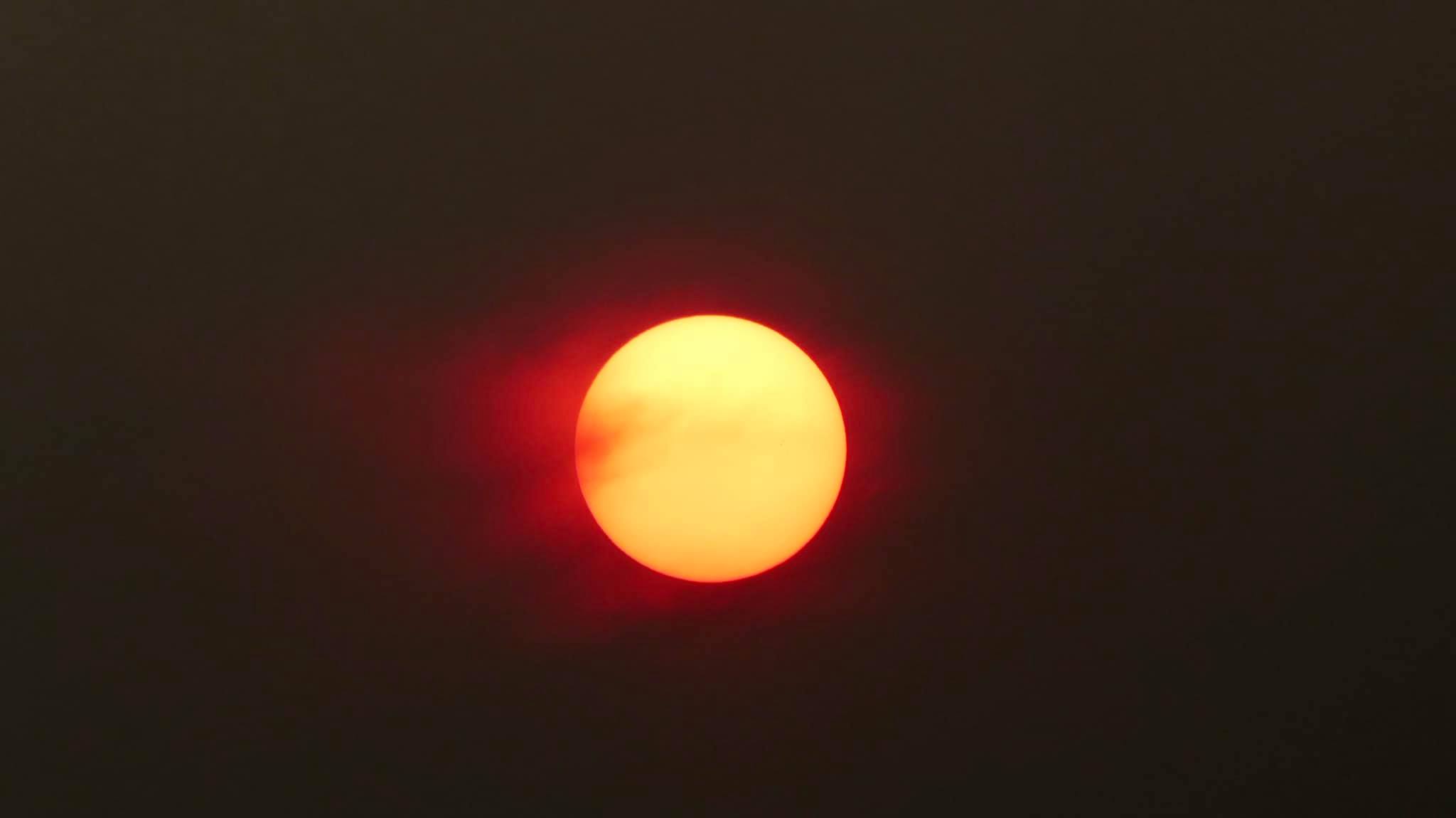 17july2021AliseSilvaPedrettib.