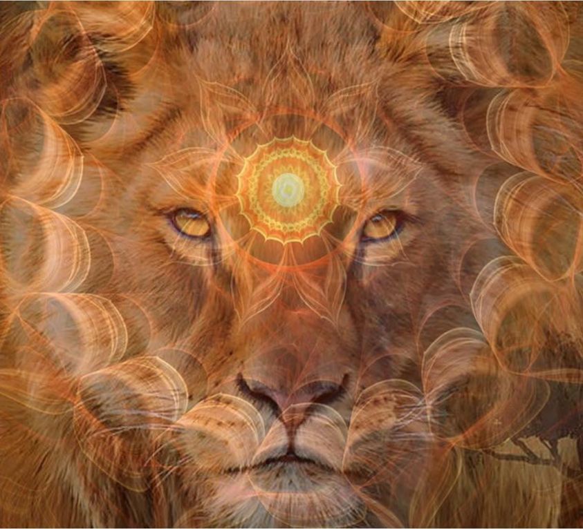 183_n.?_nc_cat=106&ccb=1-5&_nc_sid=730e14&_nc_ohc=4Nubwr8F_pwAX94qDxZ&_nc_ht=scontent.fykz2-1.