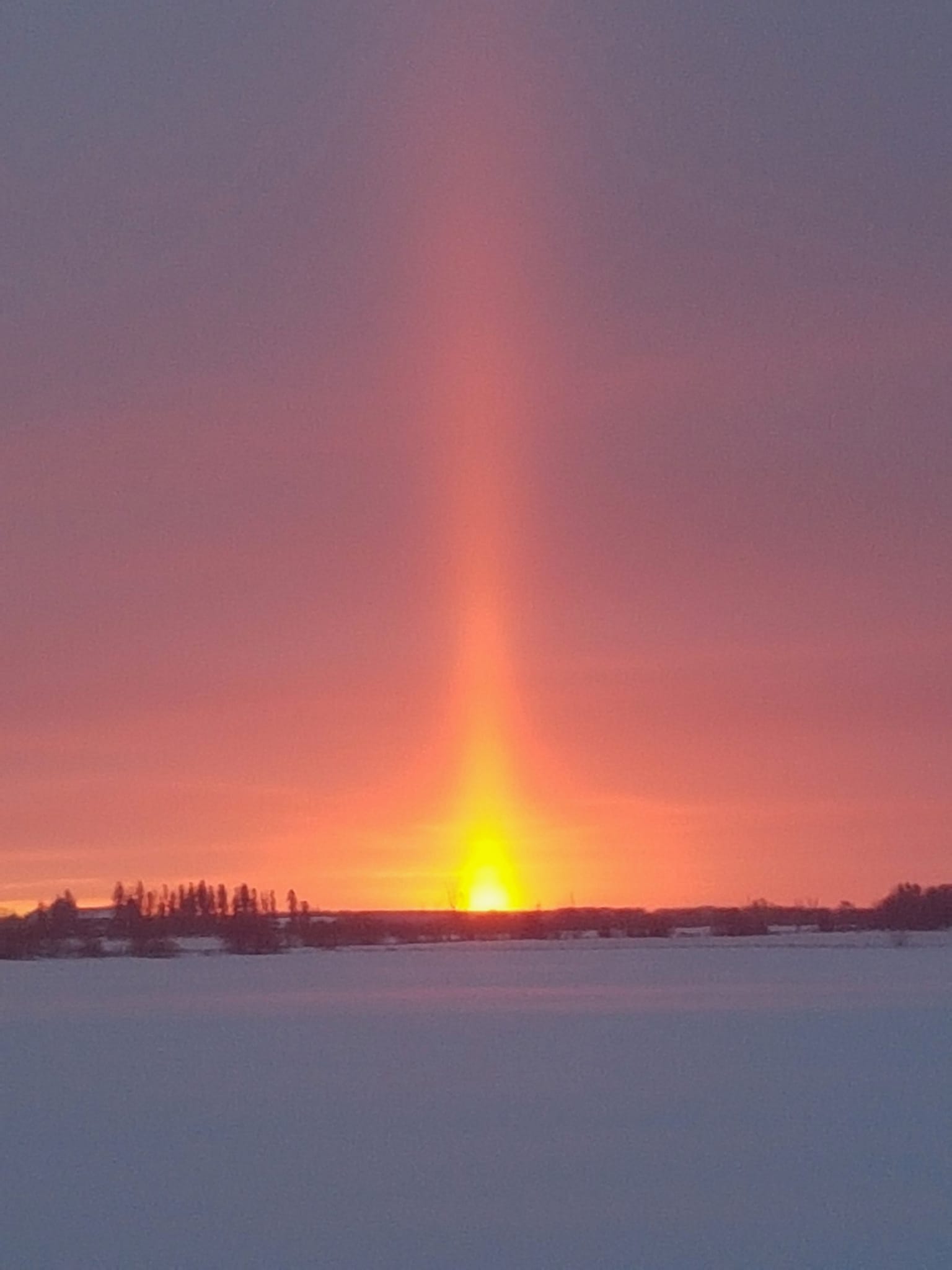 18jan2022sunriseelmvale.