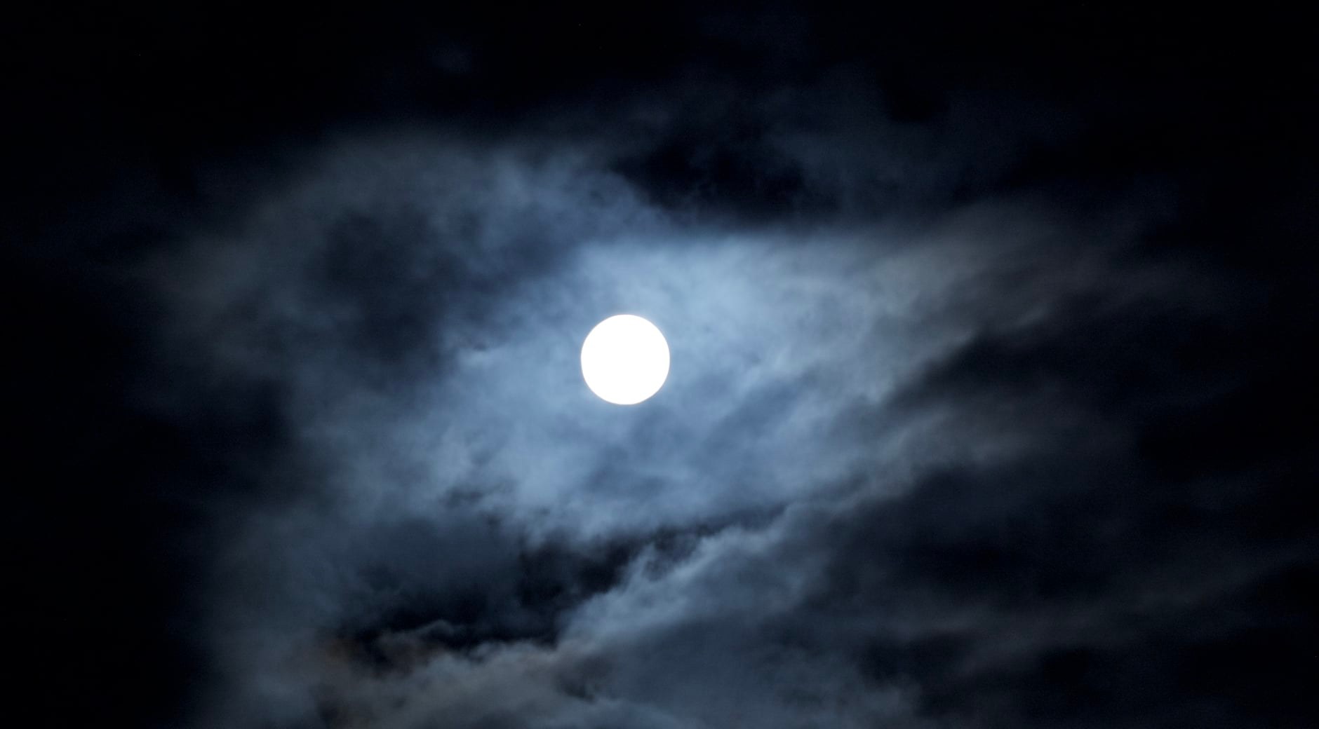 18nov2021BarbaraKendrick.