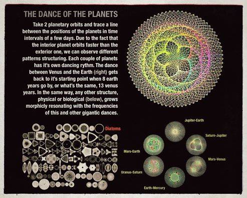 1939952_796498237076533_5207175534490211007_n.