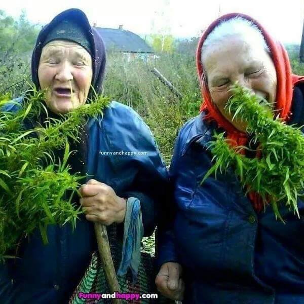 1972298_882761011754265_732849171397774522_n.