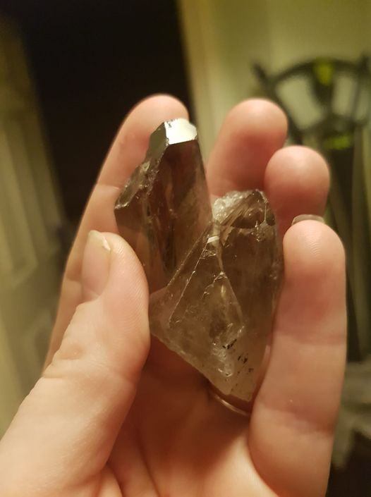 204657_o.?_nc_cat=110&ccb=3&_nc_sid=825194&_nc_ohc=OIdHJRq-dIsAX8rYwjR&_nc_ht=scontent-yyz1-1.