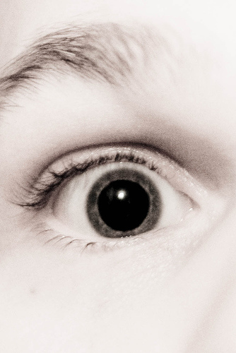 2079532710_707d071123.