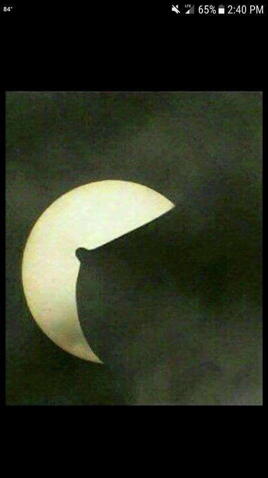 20914625_1950046138541734_7258874764211318785_n.