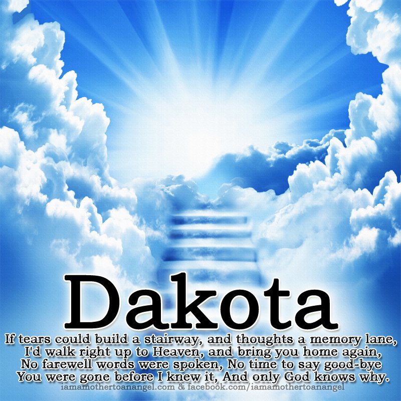 255216_470236796333541_1434542034_n-.