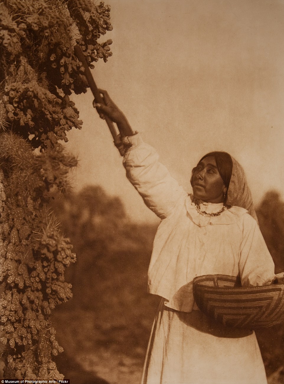 25C3B8B000000578-2957360-image-a-15_1424251288748.