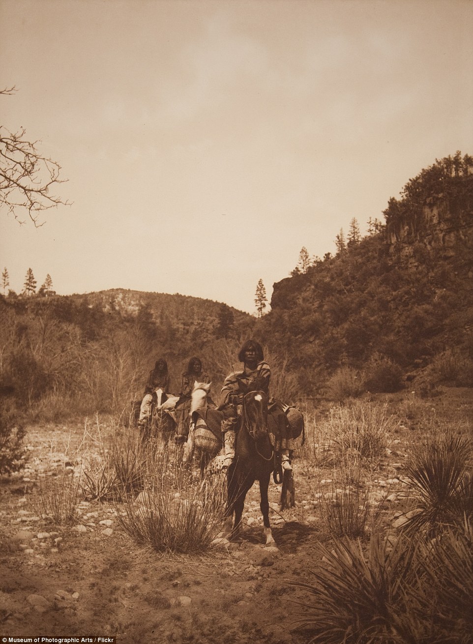 25C3BC2C00000578-2957360-image-a-45_1424254809677.