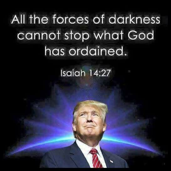 26166016_10210539120333800_6362134036751338156_n[1].