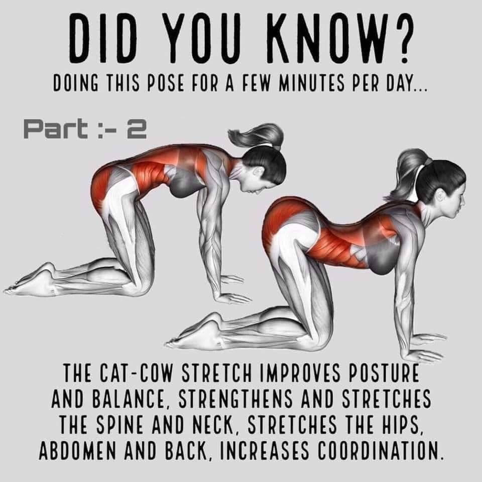 26816_n.?_nc_cat=1&ccb=1-5&_nc_sid=8bfeb9&_nc_ohc=1DUL3Pq9HBEAX_1_Jf6&_nc_ht=scontent.fykz2-1.