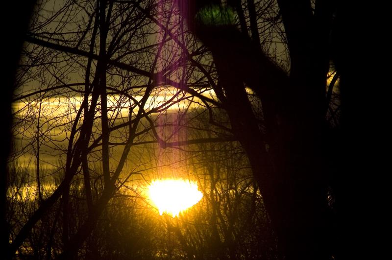 2696a26b99d8ac0108f2d8564a06a3102dea423c21394be39239218bb78349f4.