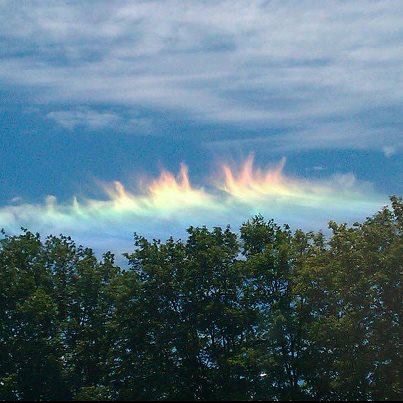 283787_10151074824806488_741847966_n-.