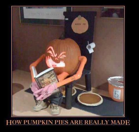 285104_397071110363823_929775551_n.