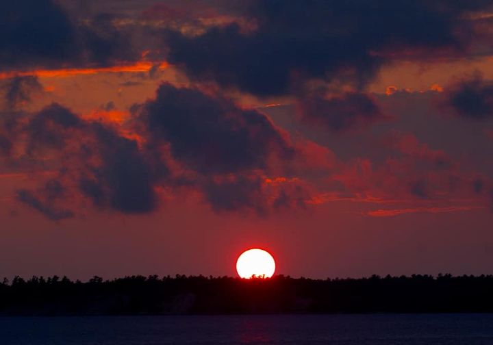 29july2021BarbaraKendrick.