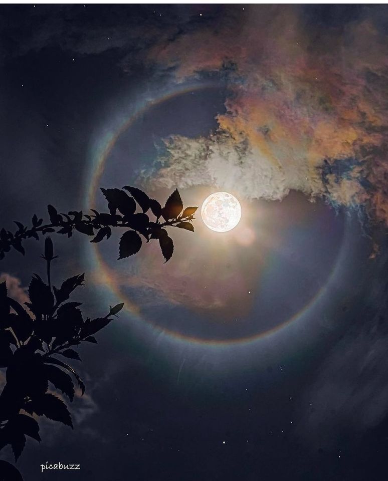 29may2021moonhalo.