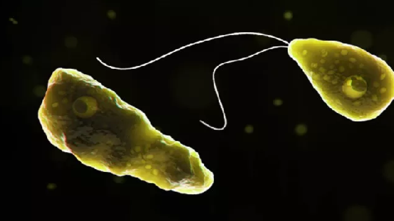 %2Fassets%2Fv3%2Feditorial%2F7%2F88%2F7881f3fe-818e-11e8-97bf-b3cc4cf55a8d%2F5b4027274d95e.image.