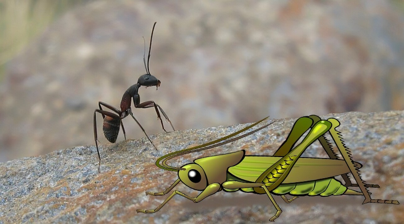 %2fwww.thehypertufagardener.com%2fwp-content%2fuploads%2f2016%2f10%2fThe-ant-and-the-grasshopper.